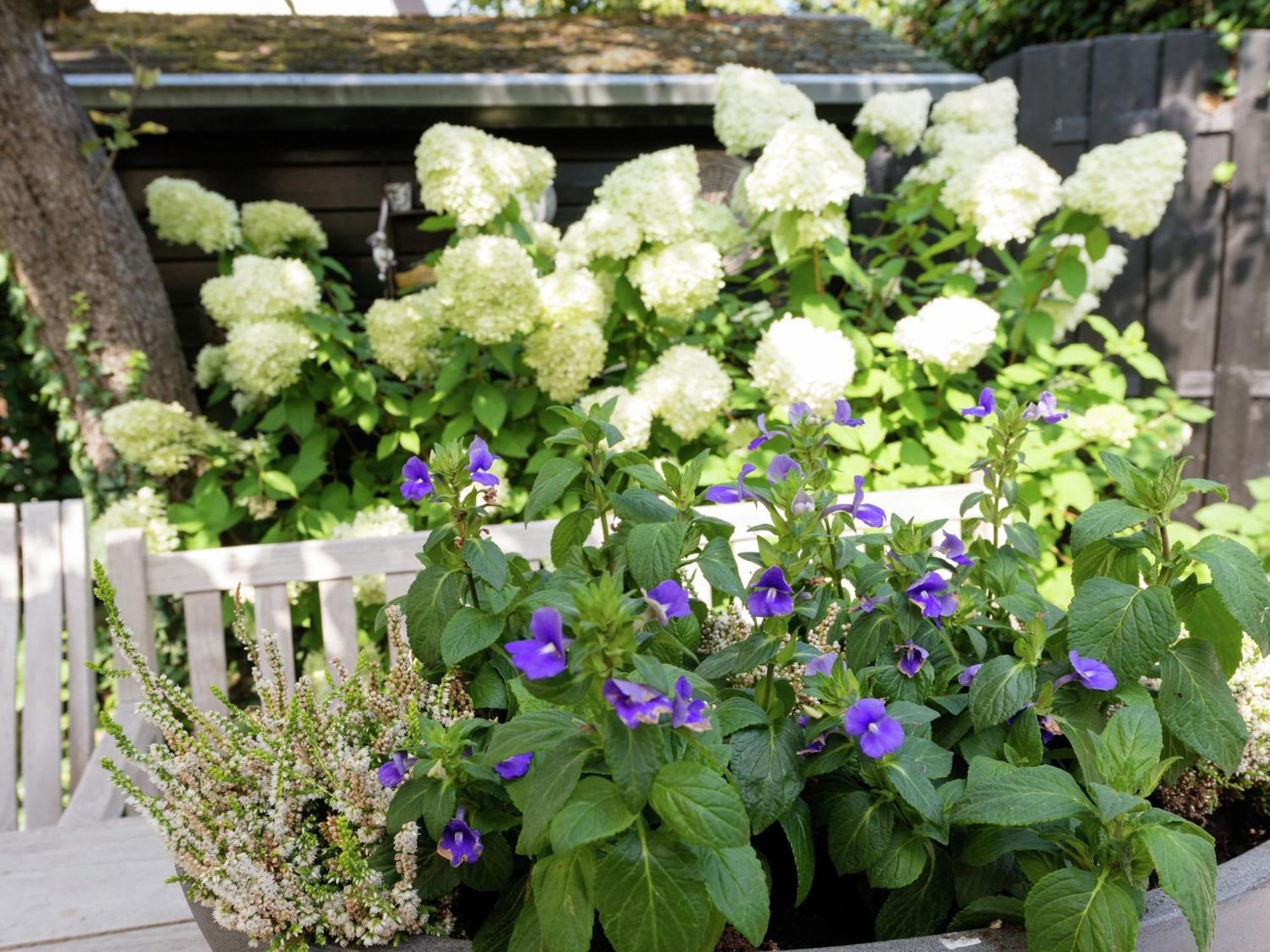 Alluring Apartment In Bergen With Terrace Garden And Bbq ภายนอก รูปภาพ